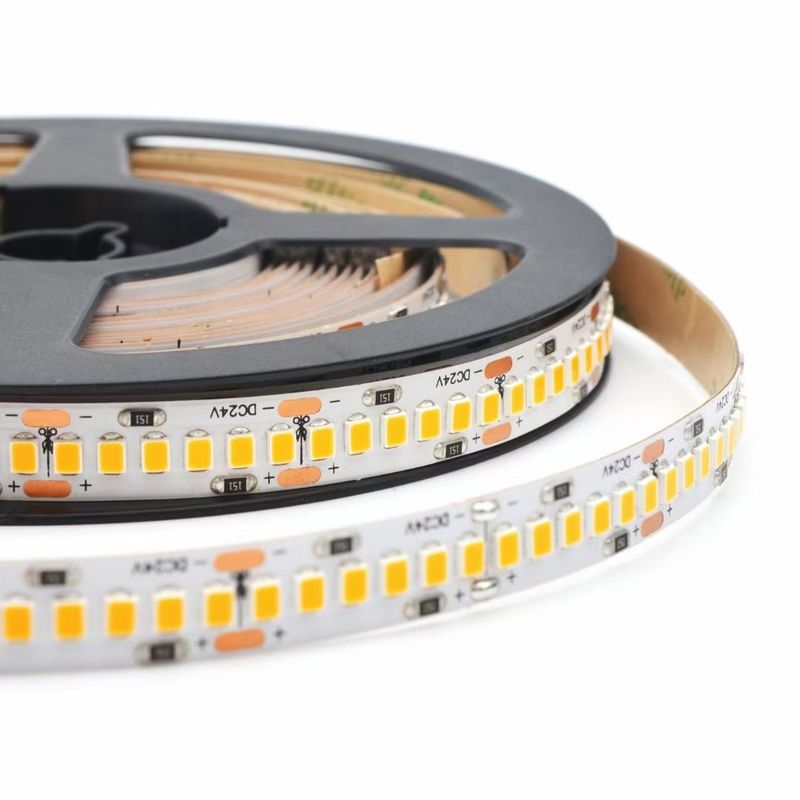 3000K 4000K 6500K 12 ভোল্ট LED ফ্লেক্সিবল লাইট স্ট্রিপস 24V SMD2835 স্মার্ট ডুয়াল 2 কালার ওয়াটার রানিং