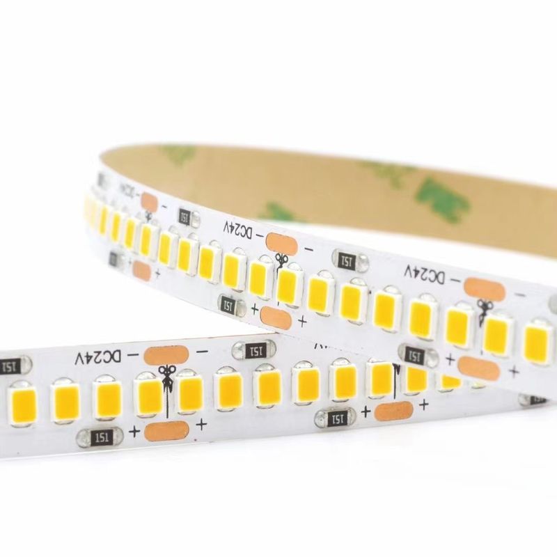 3000K 4000K 6500K 12 ভোল্ট LED ফ্লেক্সিবল লাইট স্ট্রিপস 24V SMD2835 স্মার্ট ডুয়াল 2 কালার ওয়াটার রানিং