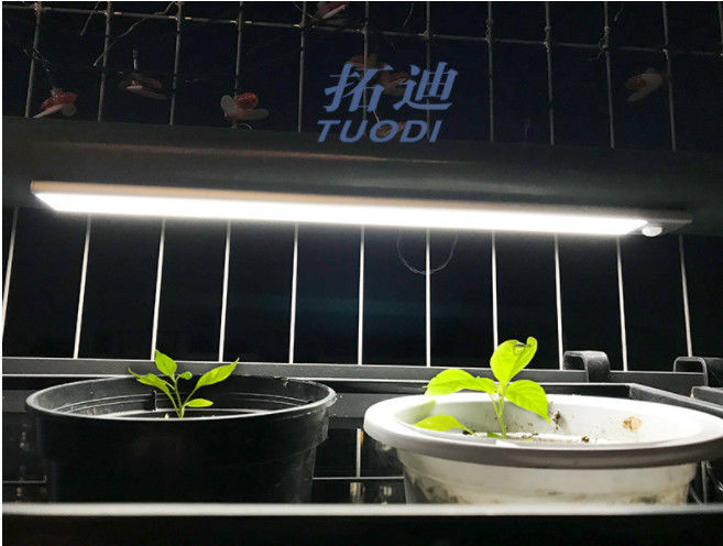 ওয়্যারলেস ইউএসবি রিচার্জেবল নমনীয় LED মোশন সেন্সর ক্যাবিনেটের আলো কাউন্টার ক্লোসেটের আলোর আলো
